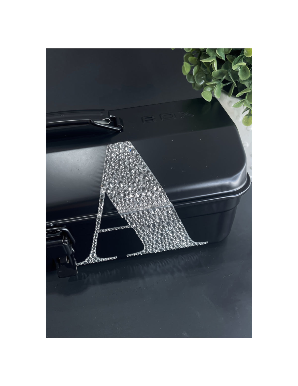 PRIVATE LISTING FOR ASHLEE